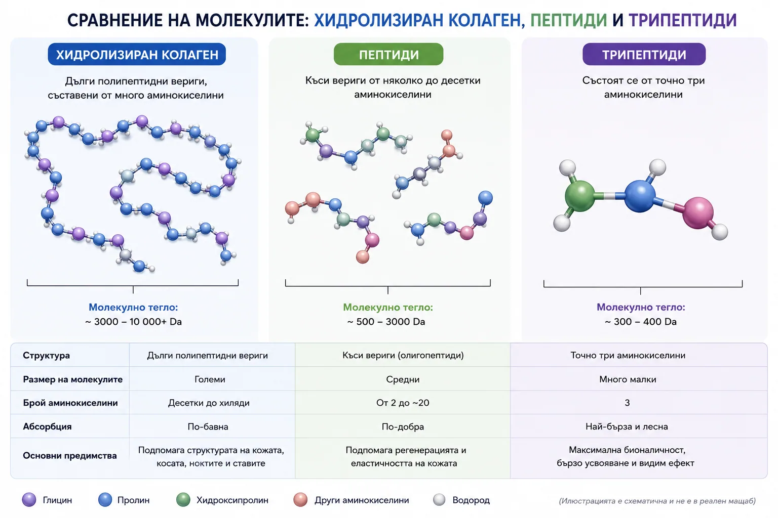Сравнение на молекулярната структура и усвояемостта на колагена във FlexRenew Forte спрямо масовите продукти
