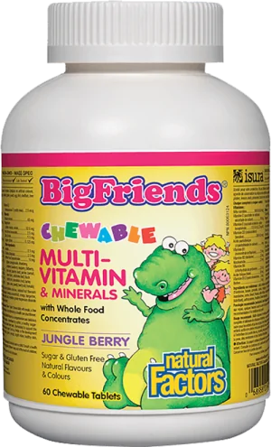 Multivitamin and Minerals / Big Friends For Kids